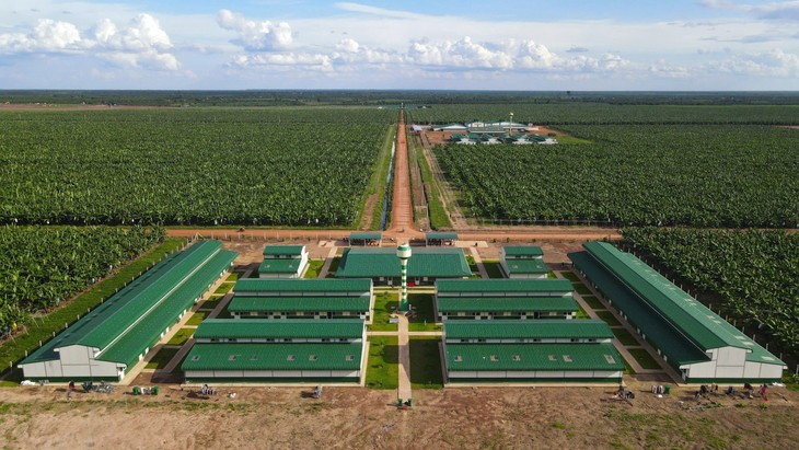 Pelaku Usaha Vietnam Turut Meningkatkan Kehidupan Pekerja Kamboja - ảnh 2