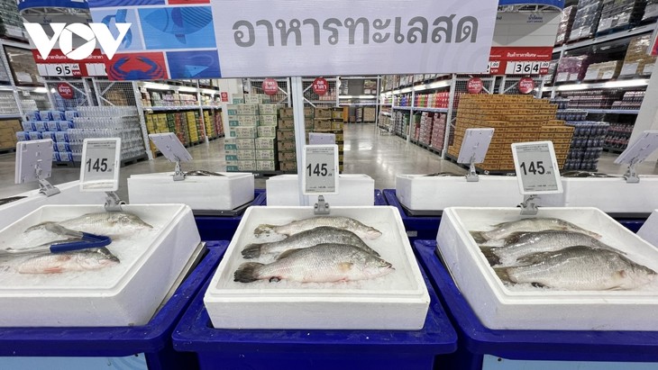 Thailand Mencabut “Kartu Kuning” IUU : Perjalanan Reformasi Cabang Hasil Perikanan yang Komprehensif - ảnh 2