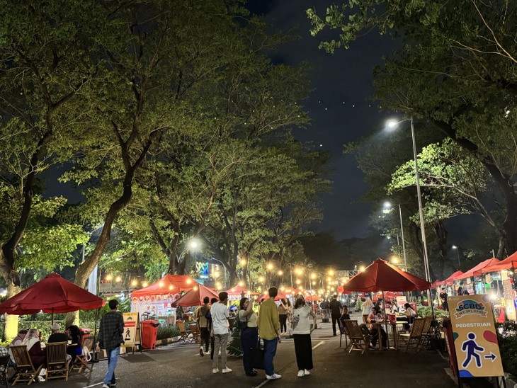 Indonesia Tidak Akan Selenggarakan Pertunjukan Kembang Api untuk Rayakan Tahun Baru di Ibu Kota Jakarta - ảnh 1