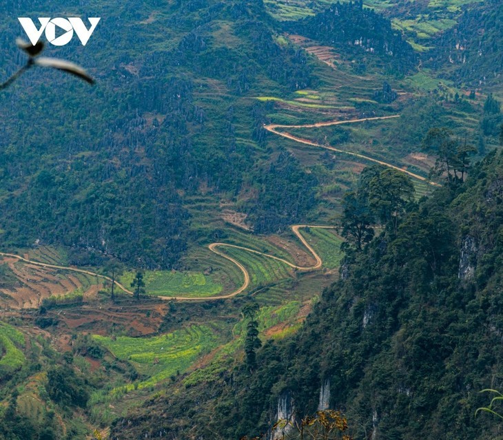 Vietnam- Salah Satu Destinasi Terindah di Dunia - ảnh 6