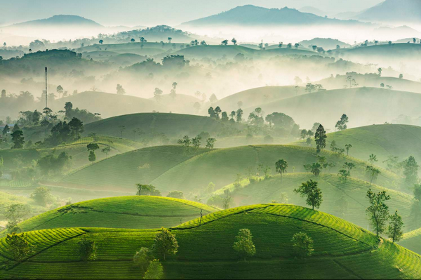 Fotografer Vietnam Berprestasi dalam Kontes Fotografi Internasional - ảnh 1