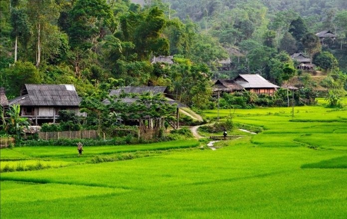 Mengembangkan Pariwisata Masyarakat di Kota Son La - ảnh 2