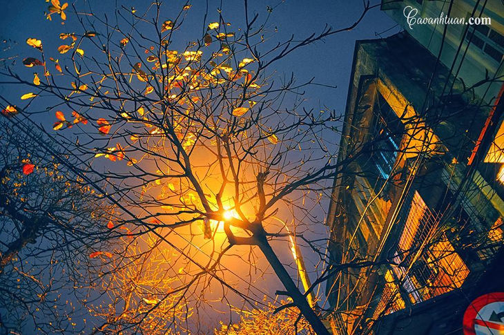 겨울 – 기억으로 가득 찬 거리들.. - ảnh 4