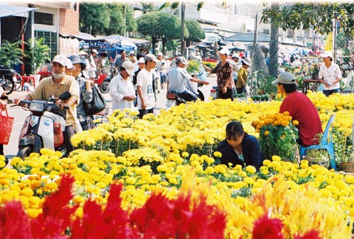 春节乡村集市 - ảnh 2