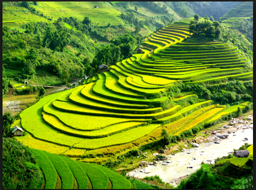 安沛省穆庚寨梯田——西北山区的壮丽奇观 - ảnh 2