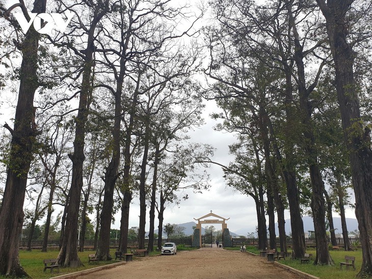 保留越南国语形成过程的江村小神学院 - ảnh 4