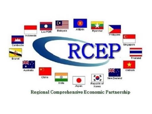 制定有效实施 RCEP 的行动计划 - ảnh 2