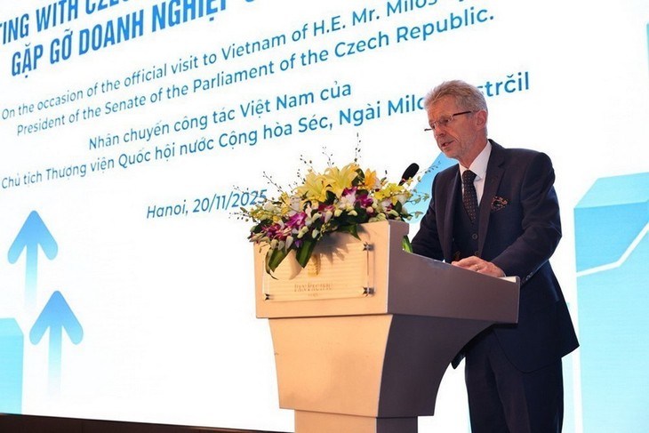 捷克参议院议长维斯特奇尔会见越捷两国企业 - ảnh 1