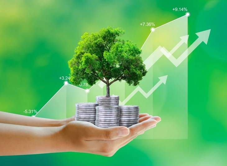 绿色经济成为国家发展战略的重点 - ảnh 1