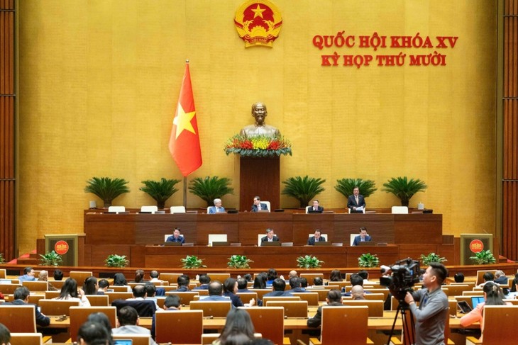 对稀土等国家战略资源制定严格管理机制 - ảnh 1