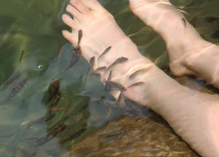 宣光山林里美如诗画的奎儿瀑布 - ảnh 4