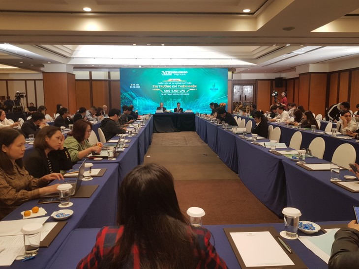 协同发展天然气市场，助力实现净零排放承诺 - ảnh 1