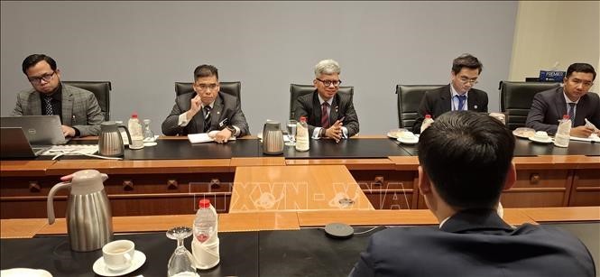 越南与马来西亚合作打击非法、不报告和不管制捕捞行为 - ảnh 2