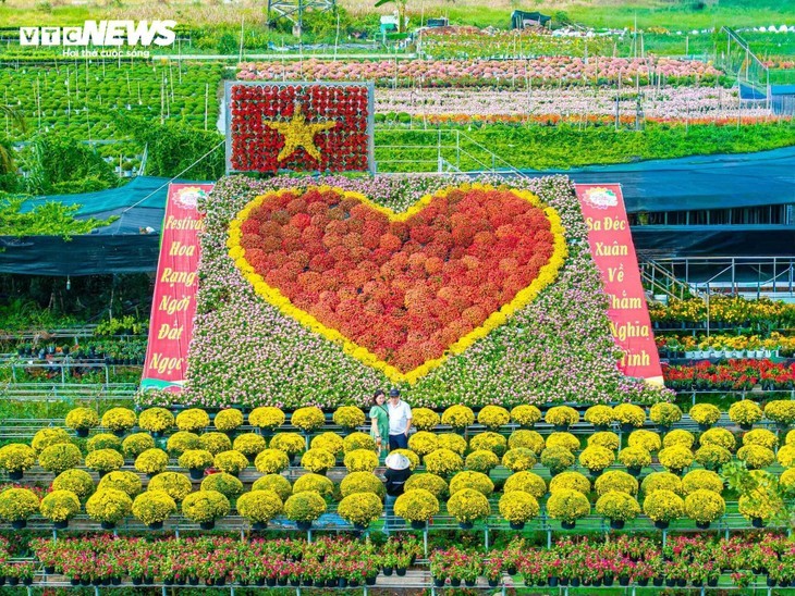 西南部地区花卉之绽放春日色彩 - ảnh 13