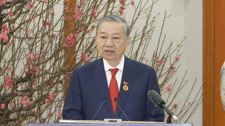 苏林启程对老挝进行国事访问 - ảnh 1