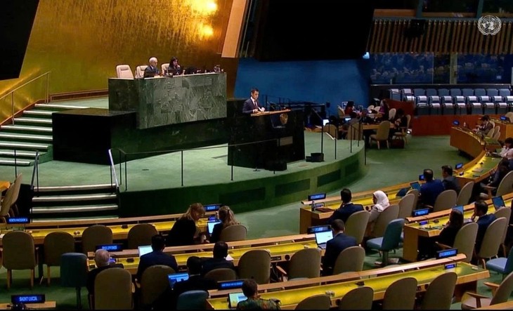 联合国宣布中东进入严重人道主义紧急状态 - ảnh 1