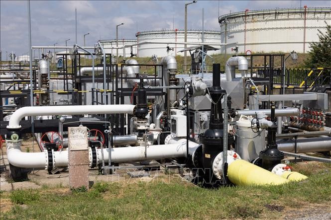 欧盟支持恢复乌克兰中断的石油供应 - ảnh 1