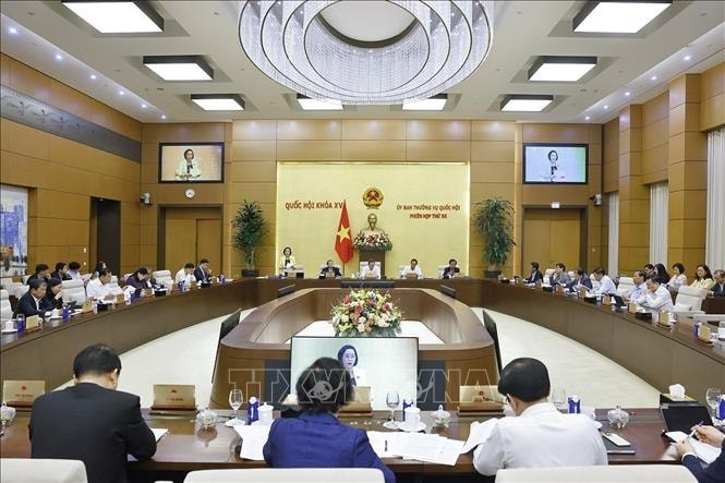 提高越南驻外代表机构的影响力 - ảnh 1