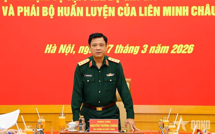 越南首次向联合国阿卜耶伊临时安全部队派遣混合军事作战军官 - ảnh 2