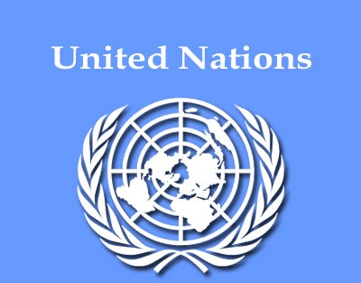 UN reaffirms consistent policy on human rights - ảnh 1