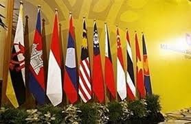 ASEAN + 3 senior officials discuss Social Welfare and Development    - ảnh 1