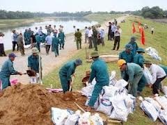 Central provinces strengthen preparedness against tropical storm Gaemi - ảnh 1