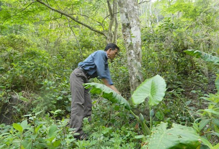 New rural development in Huoi Leng commune, Dien Bien province  - ảnh 1