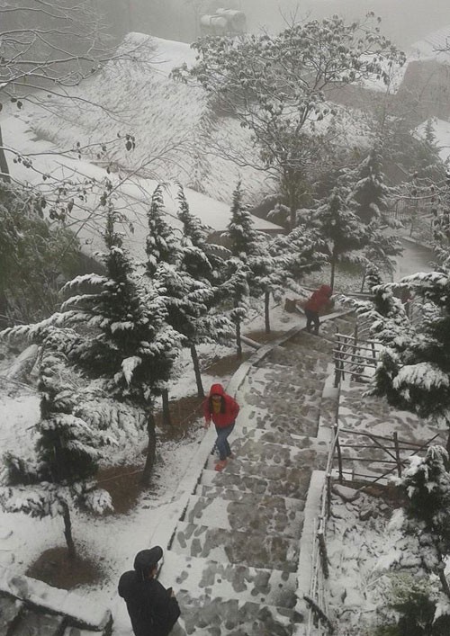 Sapa town in snow - ảnh 1