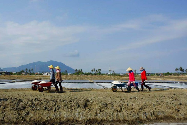 Ham Tan salt-making village   - ảnh 6