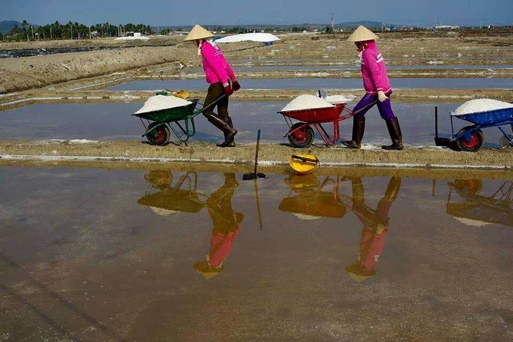 Ham Tan salt-making village   - ảnh 9