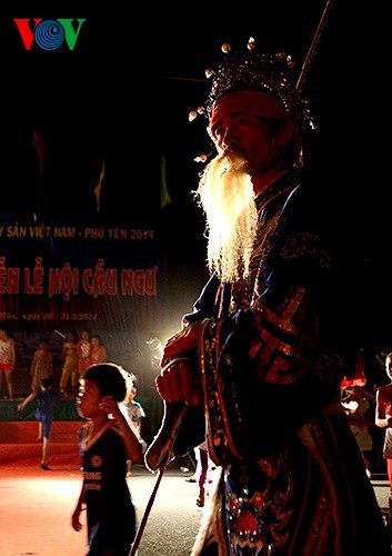 Fish praying festival in coastal Vietnam  - ảnh 14