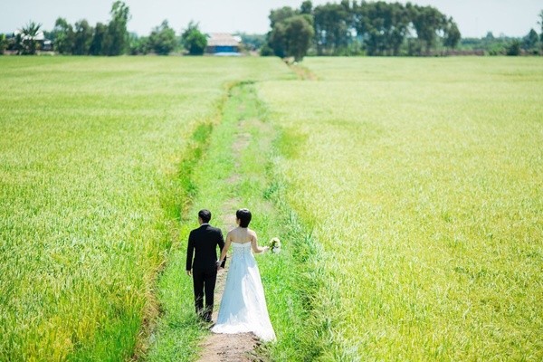 Japanese couple’s photos capture beautiful landscapes in Vietnam - ảnh 15