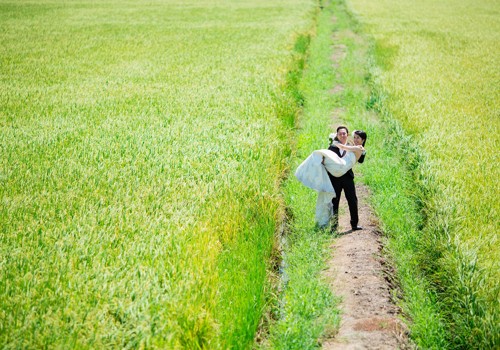 Japanese couple’s photos capture beautiful landscapes in Vietnam - ảnh 13