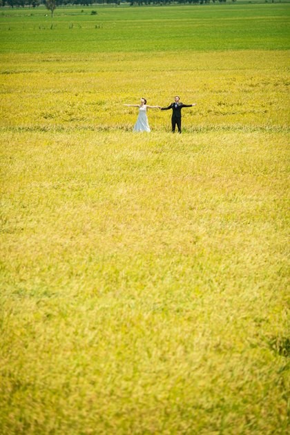 Japanese couple’s photos capture beautiful landscapes in Vietnam - ảnh 14