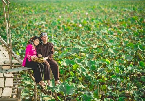 Japanese couple’s photos capture beautiful landscapes in Vietnam - ảnh 7