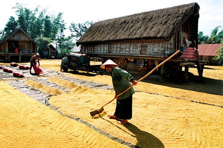 Poverty reduction project in the Central Highlands launched - ảnh 1