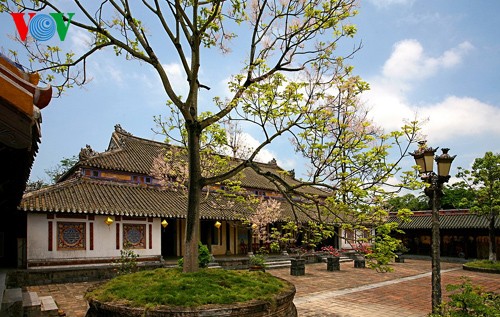 Exploring romantic charm of Hue  - ảnh 11