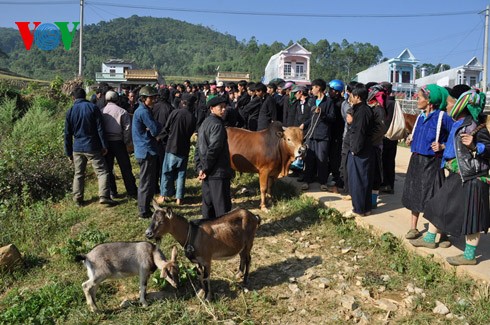 Dong Van market attracts foreign tourists - ảnh 21