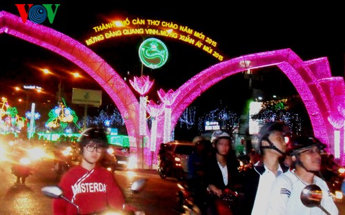 Fireworks kick off First Night in Vietnam - ảnh 4