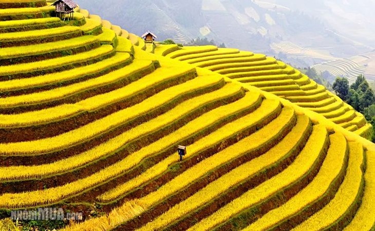 Muong Hoa- a romantic valley in Sapa - ảnh 4