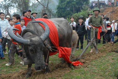 Long tong festival of the Tay in Lang Son - ảnh 1