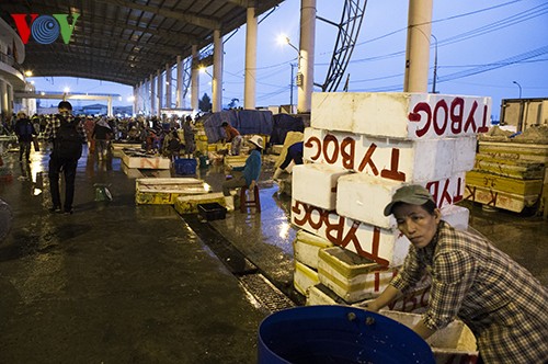 Tho Quang fishing port in spring  - ảnh 14