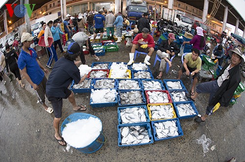 Tho Quang fishing port in spring  - ảnh 18