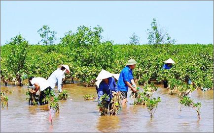 Vietnam places human in the center of its climate change policy - ảnh 1