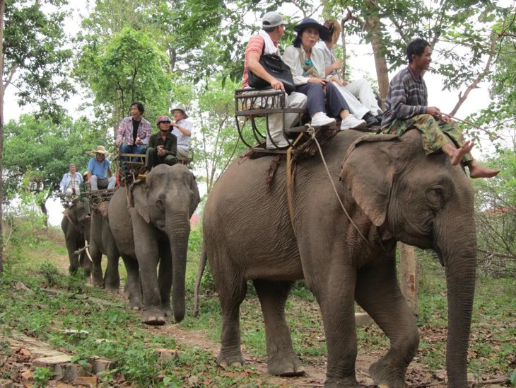 Yokdon National Park - ảnh 4