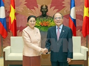 Vietnam, Laos enhance parliamentary relations - ảnh 1