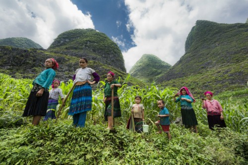 Ethnic minority children through lens of local photographer  - ảnh 5