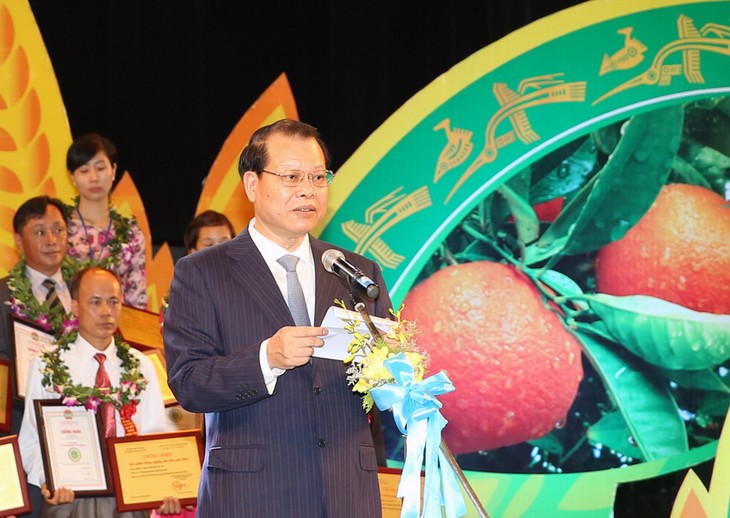 Excellent Vietnamese farm products honored    - ảnh 1