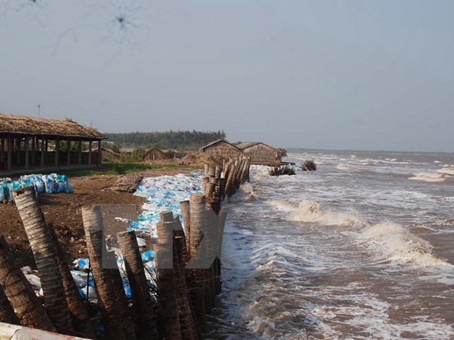 Workshop on Mekong Delta infiltration and landslides prevention - ảnh 1