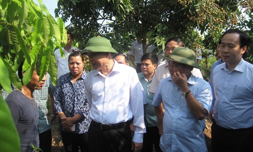 Deputy PM Vu Van Ninh oversees new rural development in Hung Yen - ảnh 1